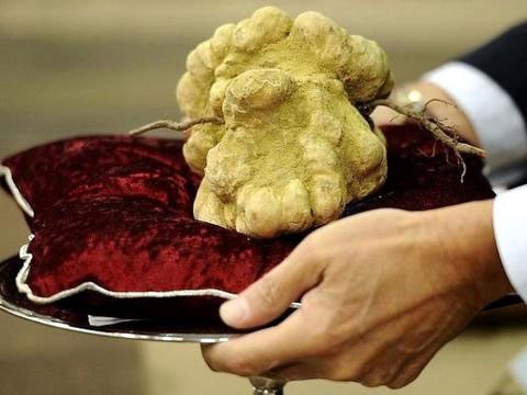 дорогие блюда в мире