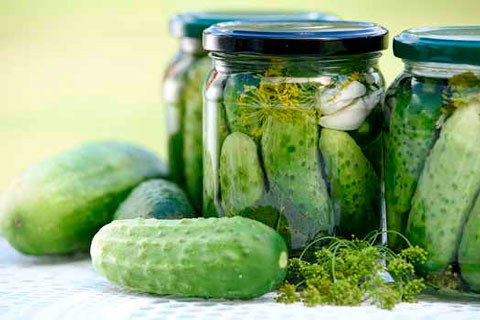 маринованные огурцы